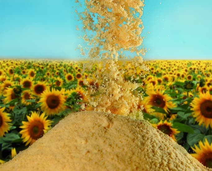 Natural Soybean and Sunflower lecithin Powder